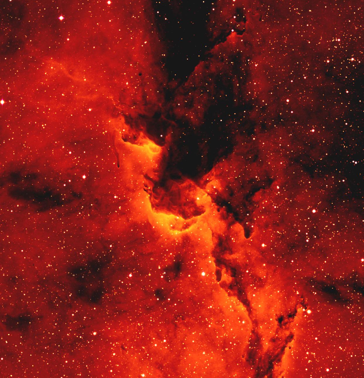 IPHAS picture of IC1396